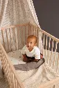 10110148_4706.webp