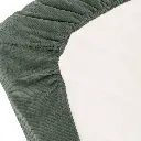 10109917_1983.webp