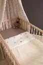 10110079_6846.webp