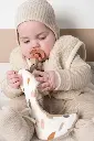 10108276_4932.webp