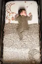 10108021_2372.webp