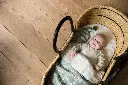10107663_2219.webp