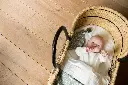 10107663_7544.webp