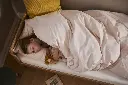 10110170_6360.webp