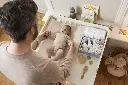10110161_4732.webp