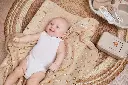 STEPPE46.webp