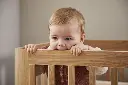 10110172_7860.webp