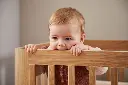 10110174_6266.webp