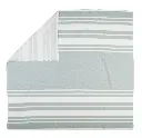 10093873_7826.webp