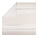 10093875_2180.webp