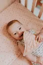 10093493_2024.webp