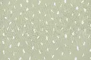 10093467_3645.webp