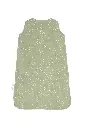 10093467_6014.webp