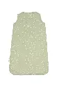 10093473_3503.webp