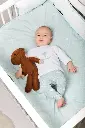 10093799_3734.webp
