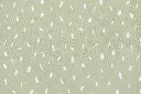 10093464_1485.webp