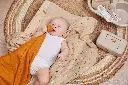 STEPPE43.webp