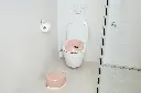 PalePink03.webp