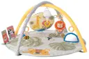 Savannah 360° Activity Gym