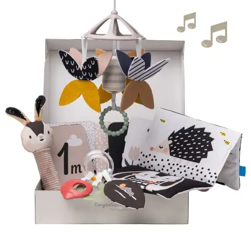 [13475-TAF] Newborn Black & White Kit